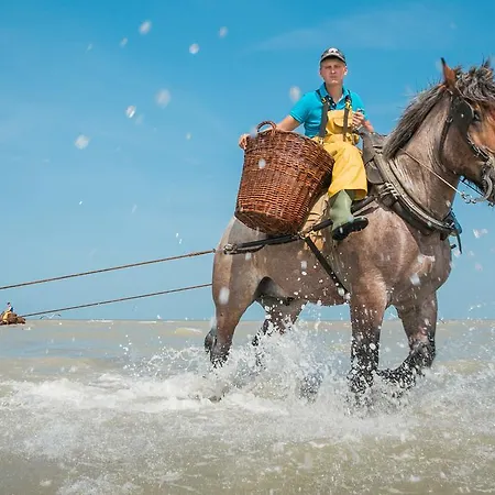 Jeugdherberg De Peerdevisser Albergue Oostduinkerke